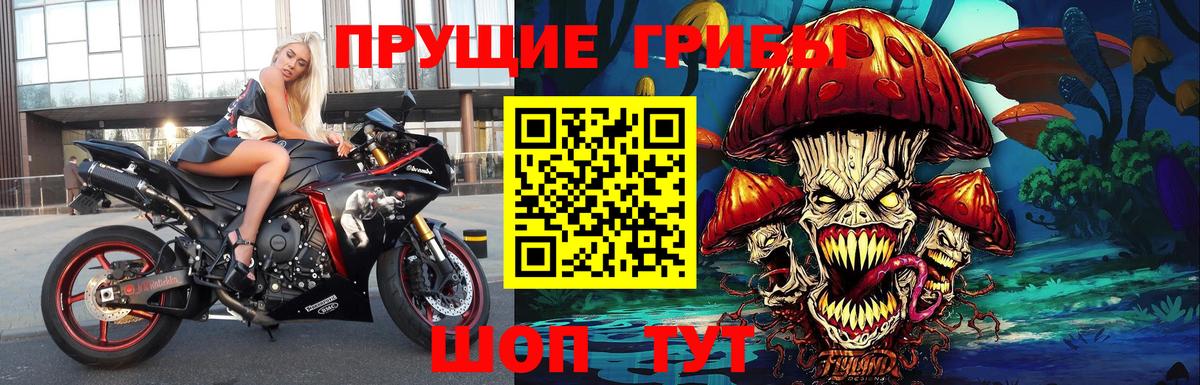 Галлюциногенные грибы прущие грибы  Вход с VPN  Дмитров 