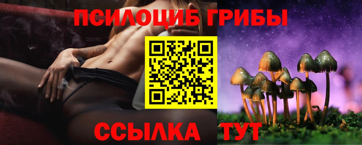 Псилоцибиновые грибы мухоморы Дмитров